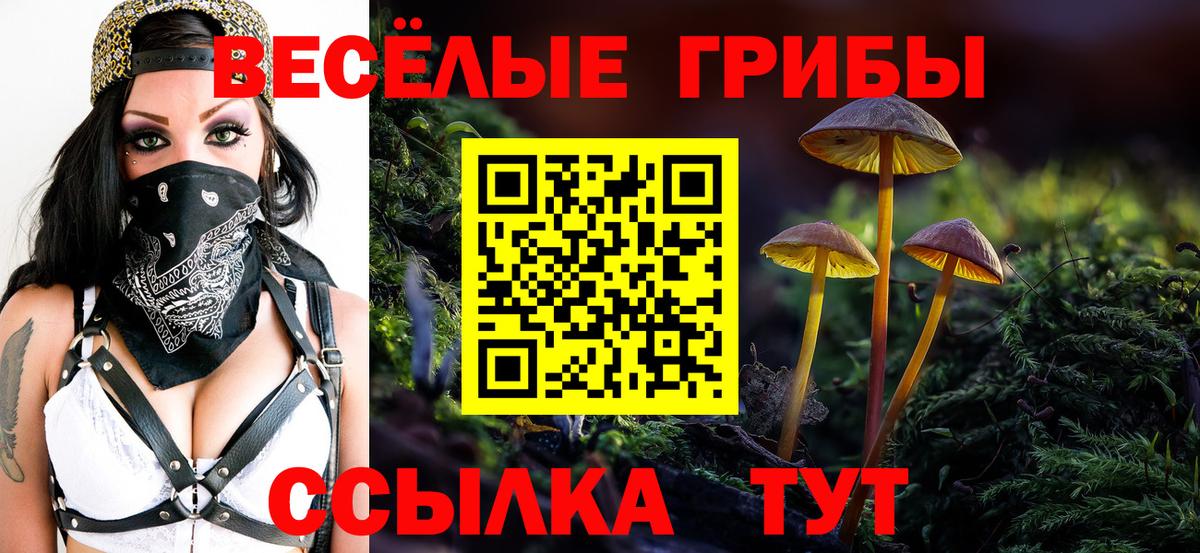 Галлюциногенные грибы мицелий  где купить наркоту  Кашира  Вход с VPN  Псилоцибиновые грибы ЛСД 